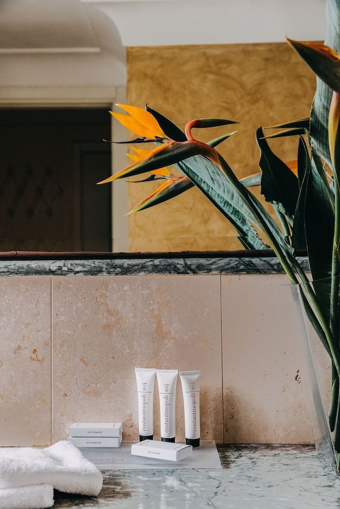 Costantinopoli 104 Classic Double or Twin Room 7