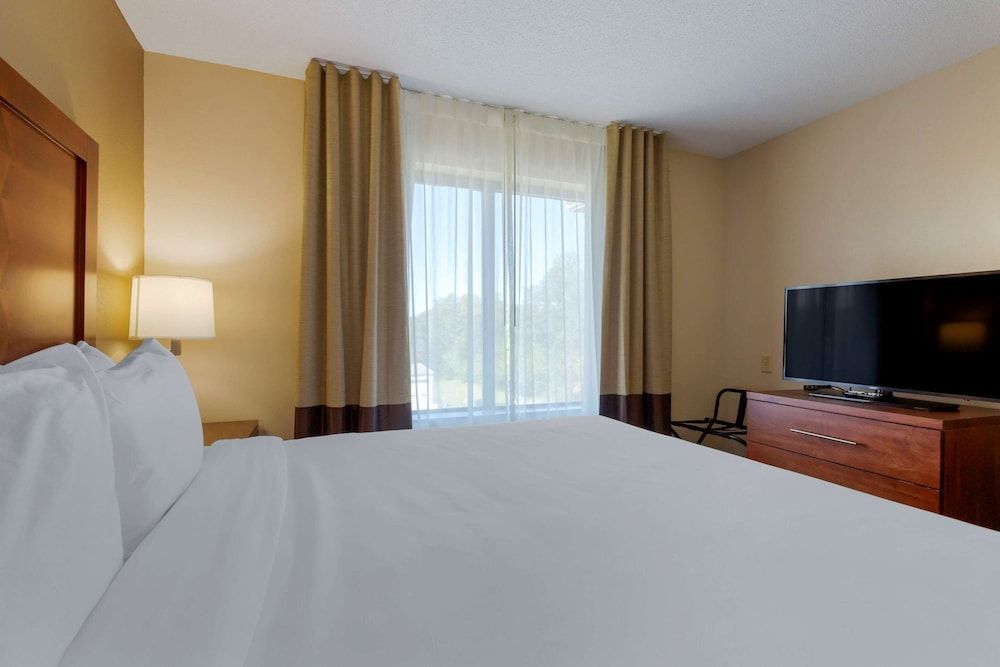 Suite, 1 King Bed with Sofa bed, Non Smoking