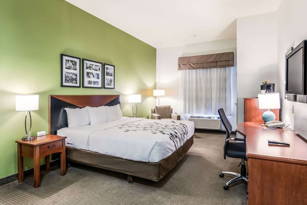 Suite, 1 King Bed with Sofa bed, Accessible, Non Smoking