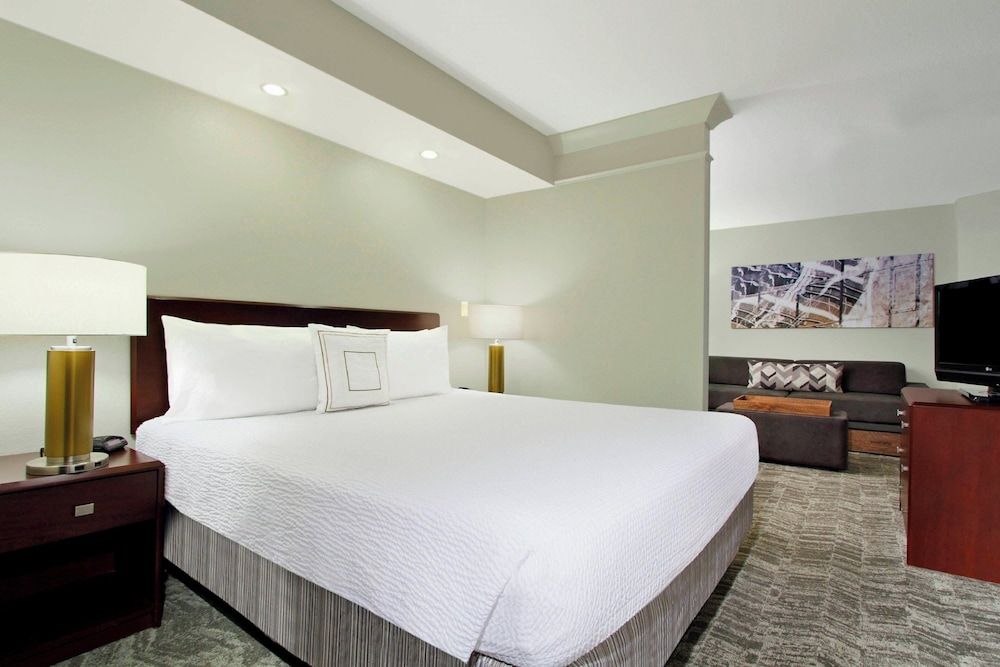 Studio Suite, 1 King Bed with Sofa bed (Mobility/Hearing Access, Roll-In Shwr)