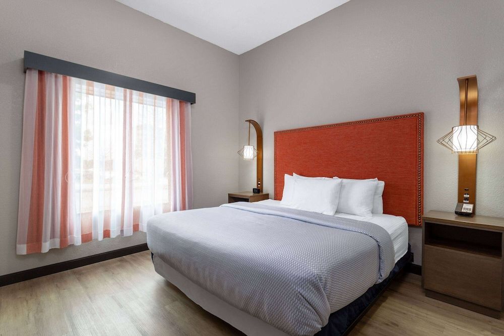 Room, 1 King Bed, Accessible, Non Smoking (Studio Room, Roll-in Shower)