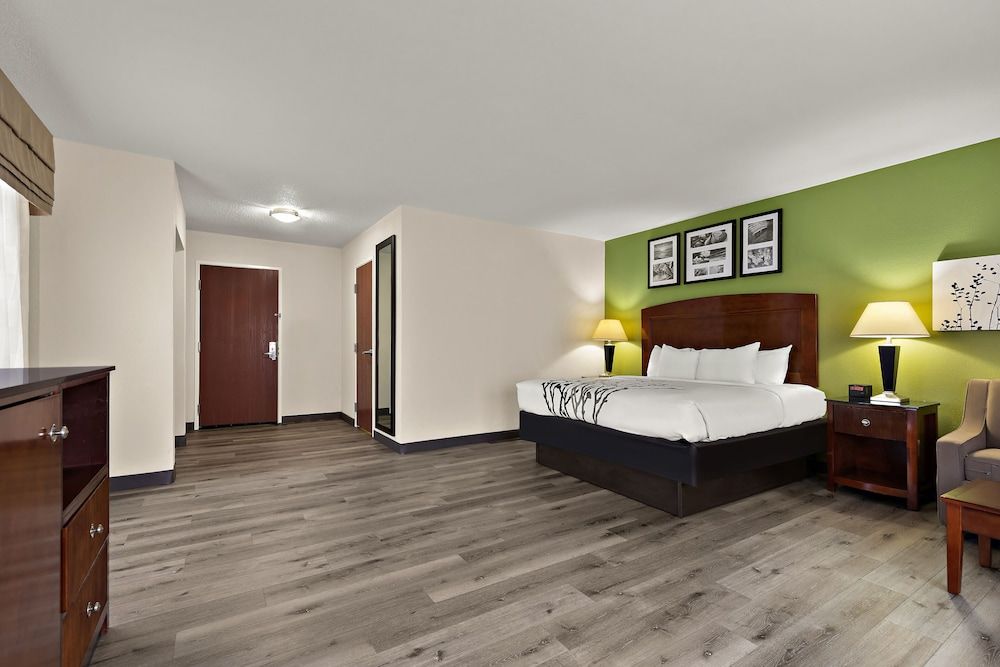 Suite, 1 King Bed with Sofa bed, Non Smoking (Shower Only)