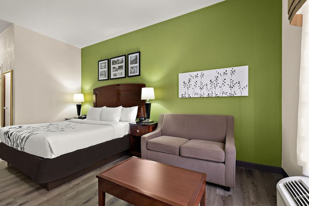 Suite, 1 King Bed, Accessible, Non Smoking (Roll-In Shower)