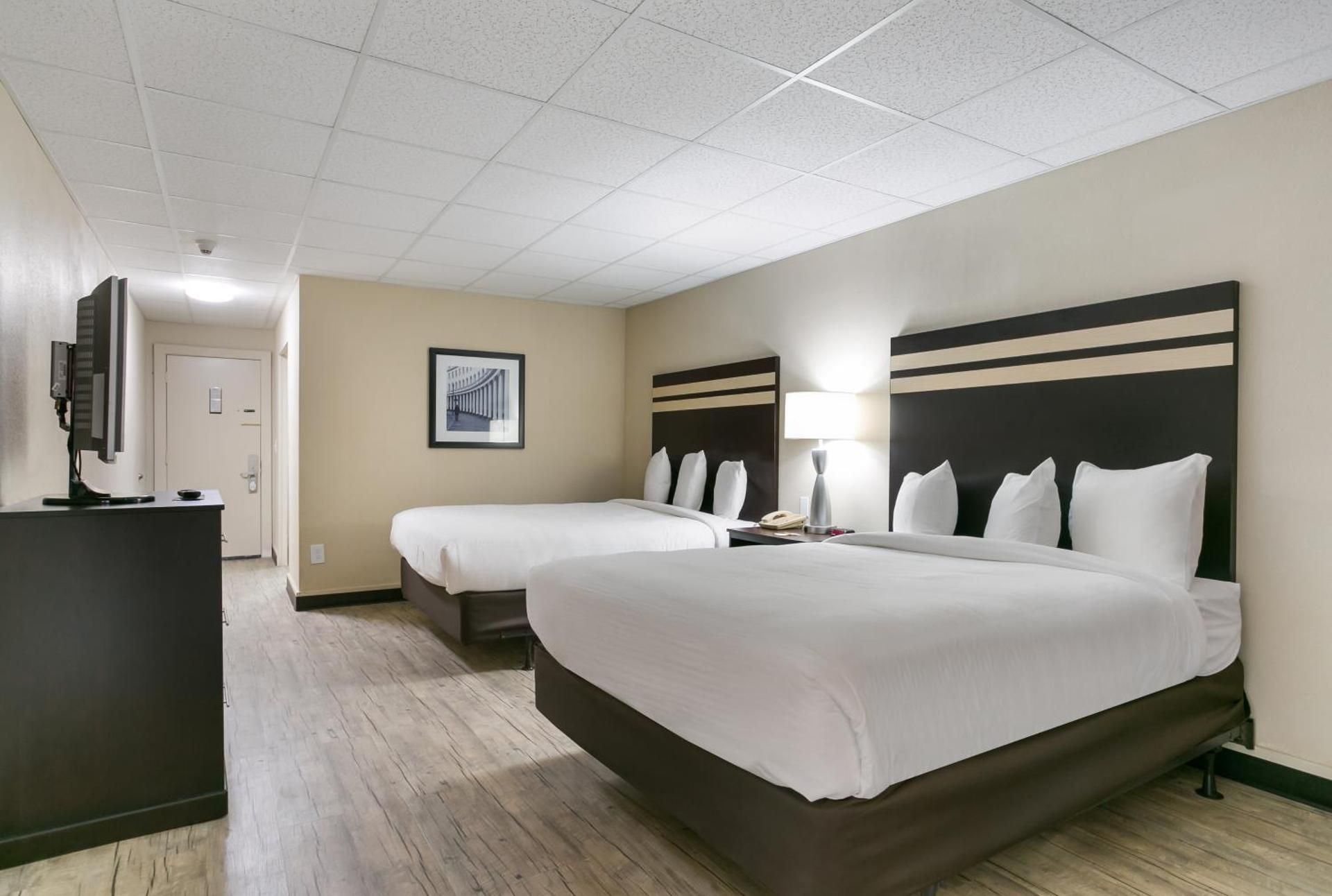 Queen Suite