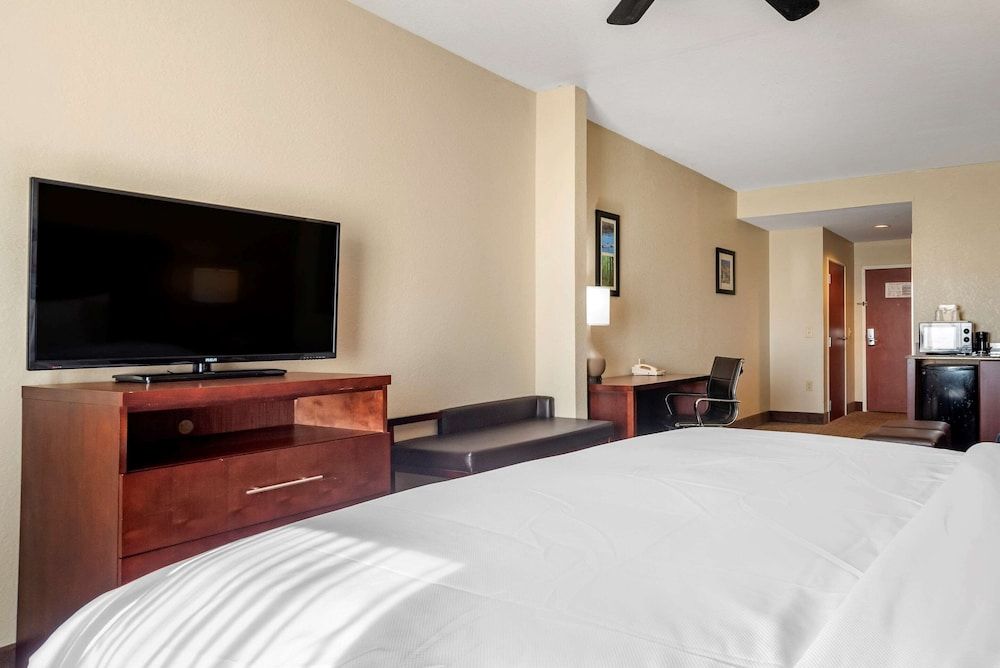 Suite, 1 King Bed with Sofa bed, Accessible, Non Smoking