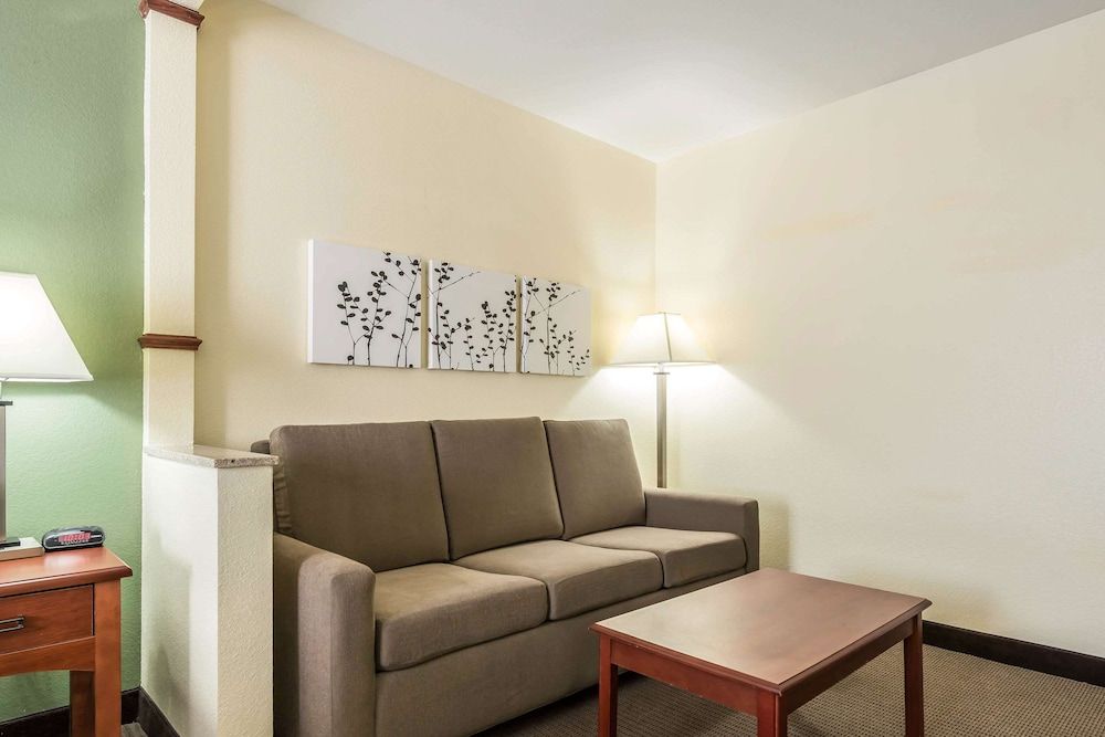 Suite, 1 King Bed with Sofa bed, Non Smoking
