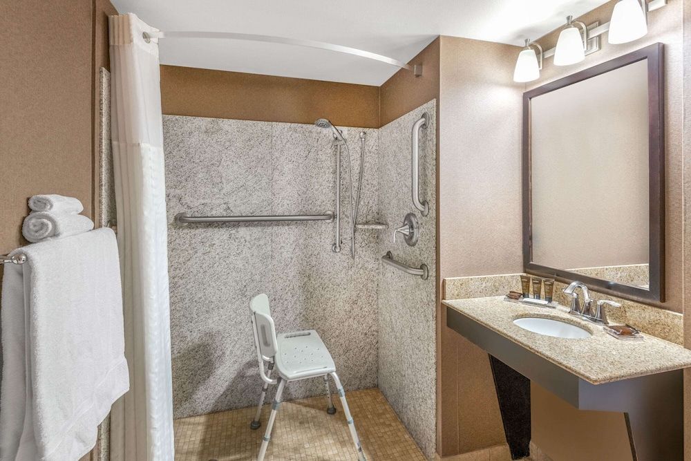 Room, 1 King Bed, Non Smoking (Roll-In Shower)