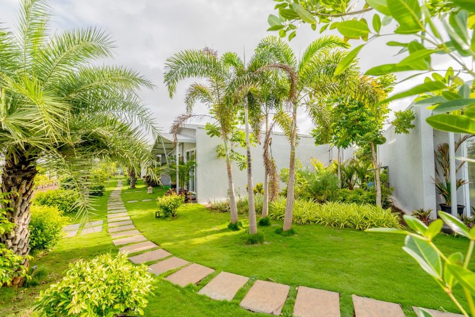 undefined The Forest Club Resort 3