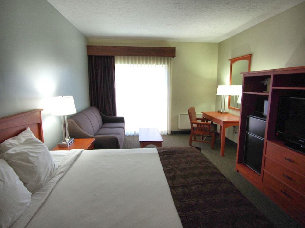 Room, 1 King Bed with Sofa bed
