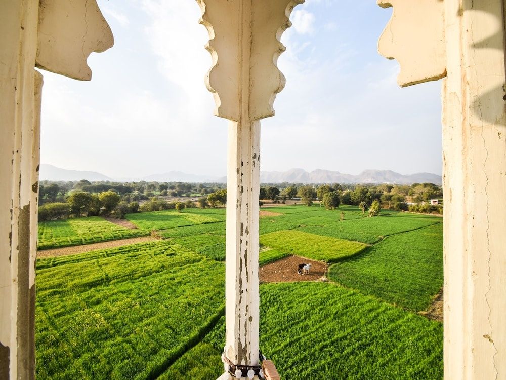 undefined OYO 28253 Jmd Palace 5