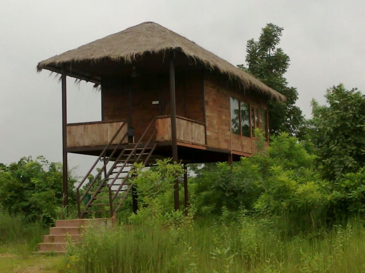 Muba's Machaan