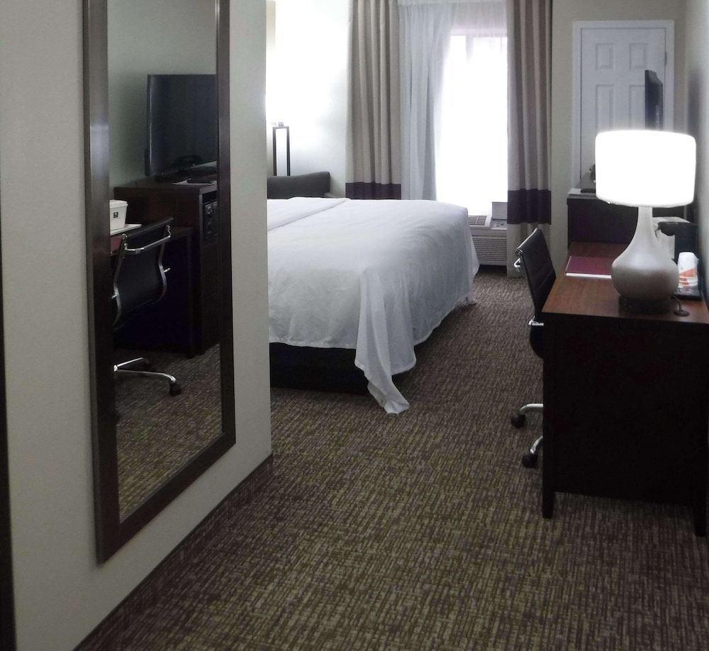 Room, 1 King Bed, Accessible, Non Smoking (Roll-In Shower)