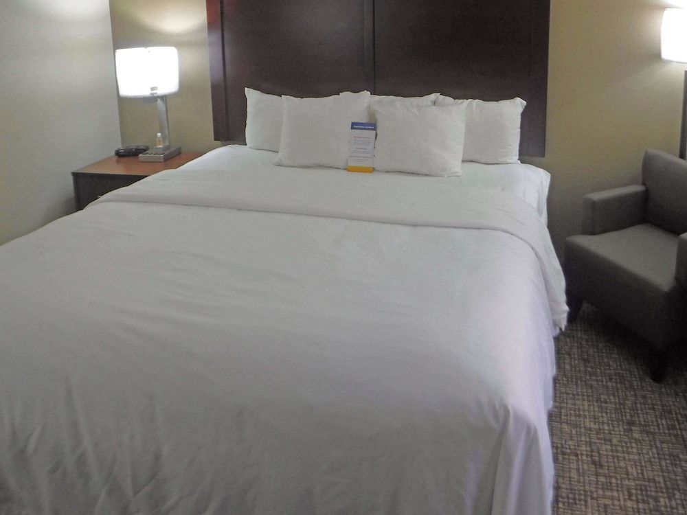 Room, 1 King Bed, Accessible, Non Smoking (Roll-In Shower)