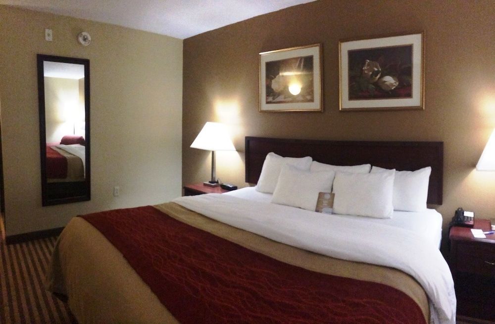 Standard Room, 1 King Bed, Non Smoking