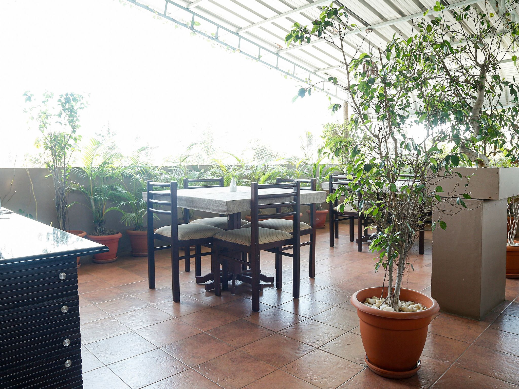 Food & Dining