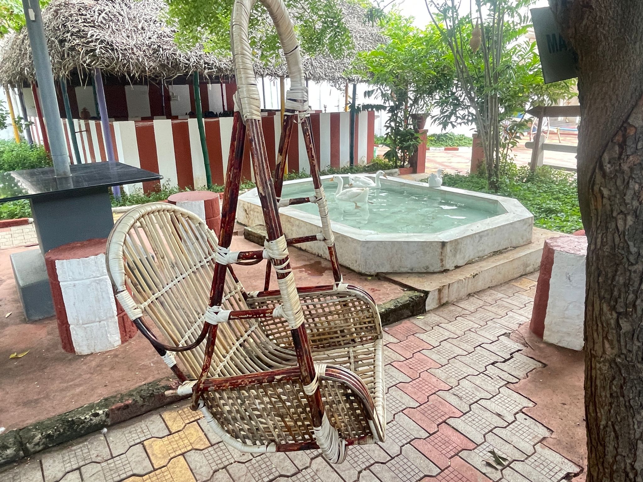 undefined Chola Heritage 4