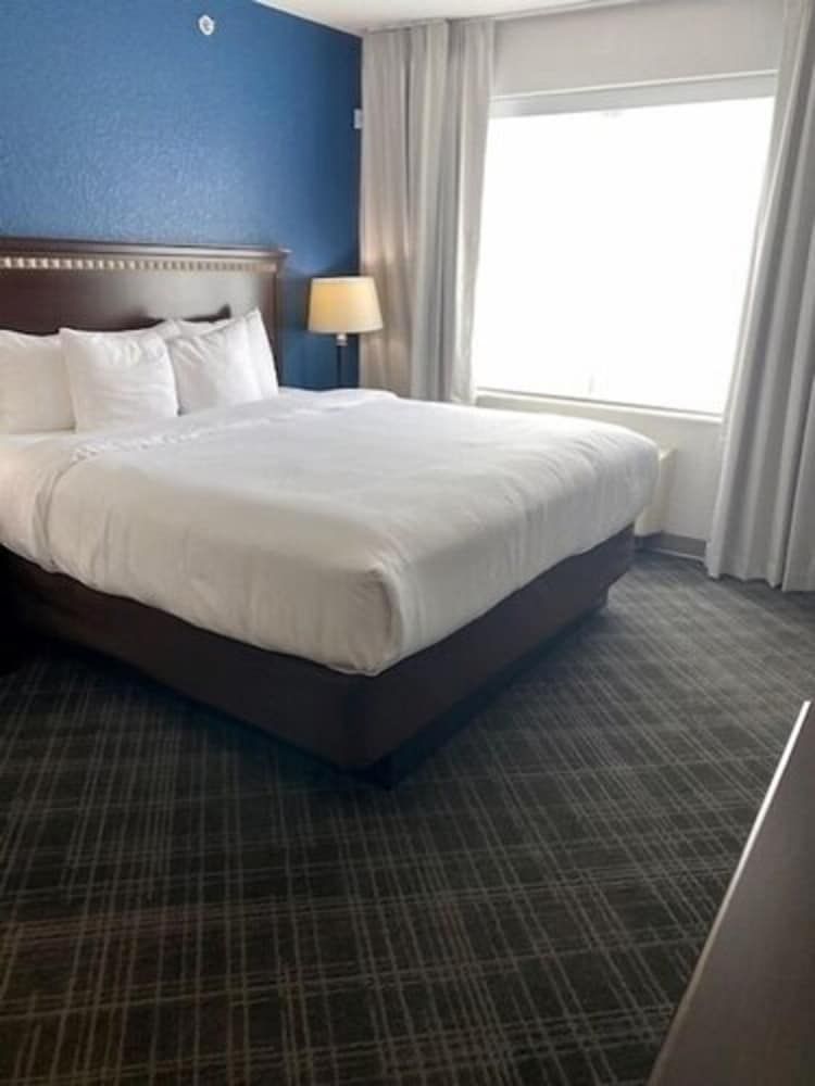 Suite, 1 King Bed with Sofa bed, Accessible, Non Smoking
