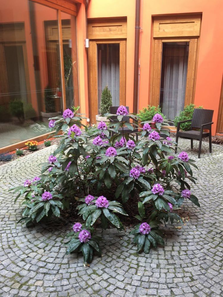 undefined EA Embassy Prague Hotel 6