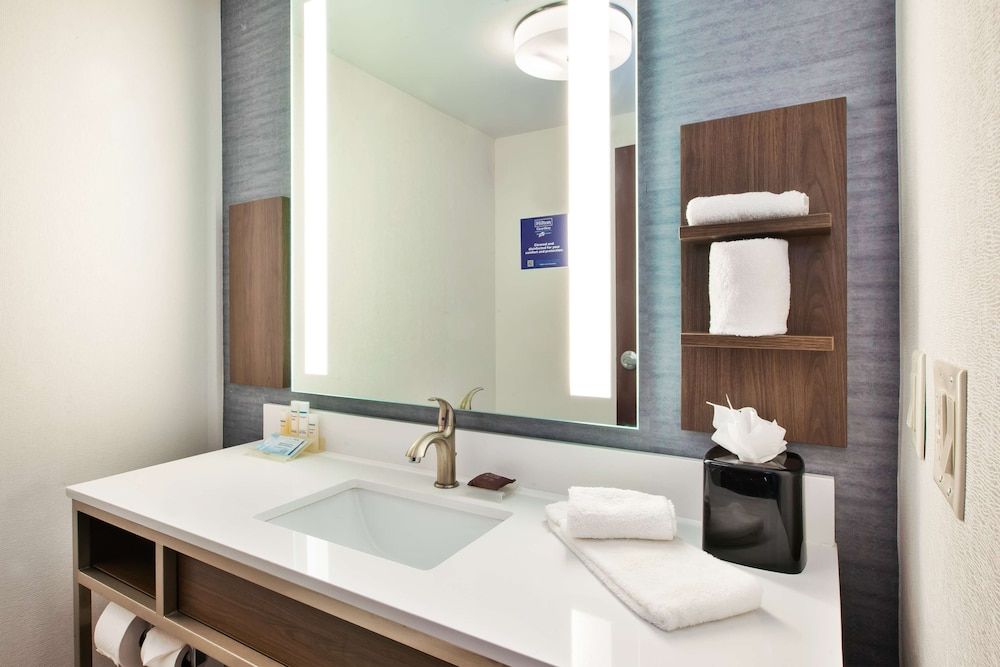 Suite, 1 King Bed, Accessible (Mobility & Hearing - 3x3 Shower)