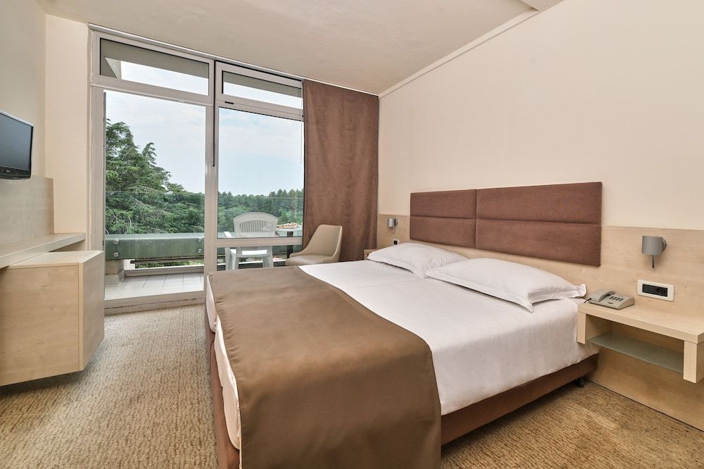 Classic room with balcony park side
