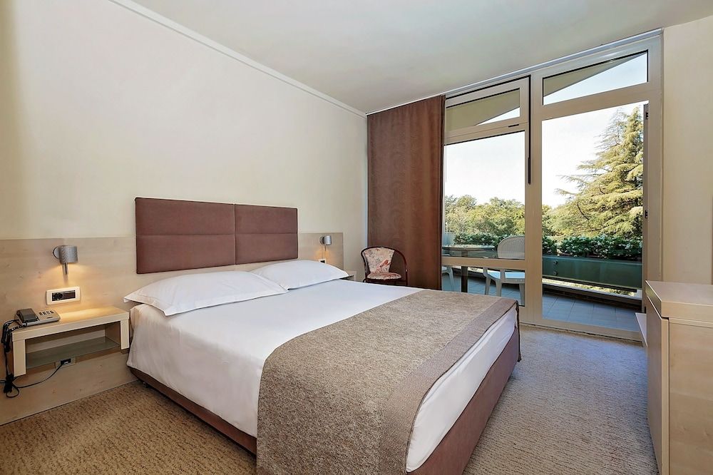 Classic room with balcony park side