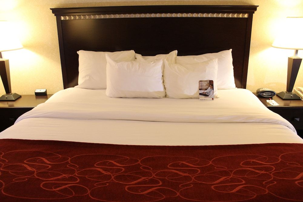 Suite, 1 King Bed