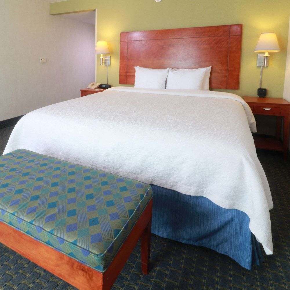 Room, 1 King Bed