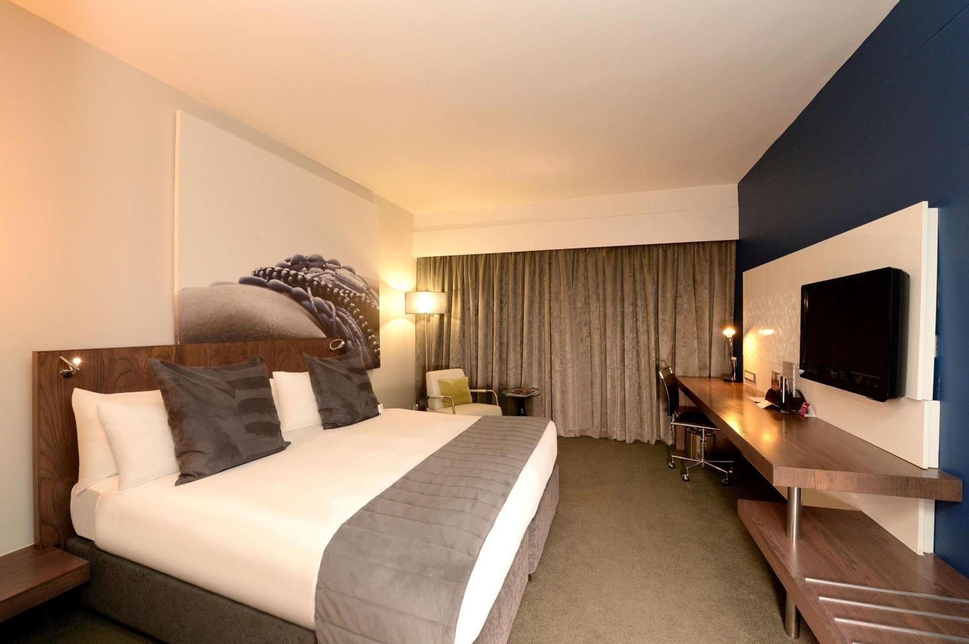 Deluxe Room 1 King Bed Non Smoking