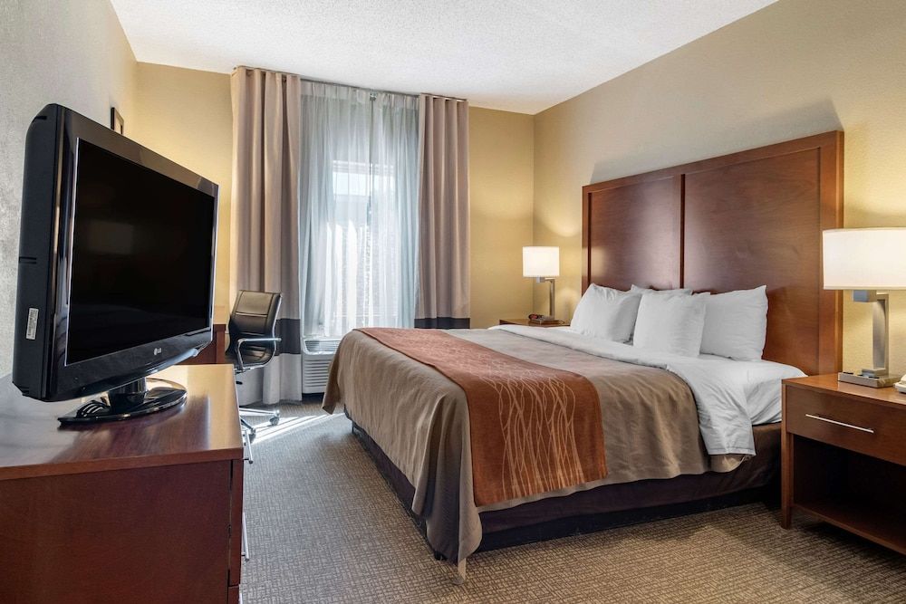 Room, 1 King Bed, Non Smoking