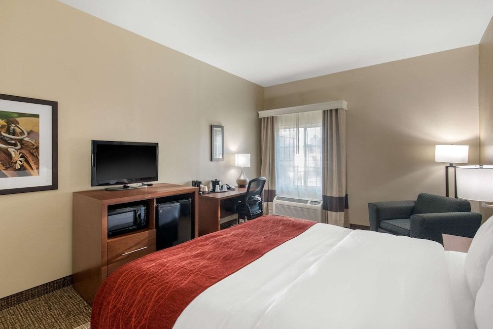 Room, 1 King Bed, Accessible, Non Smoking