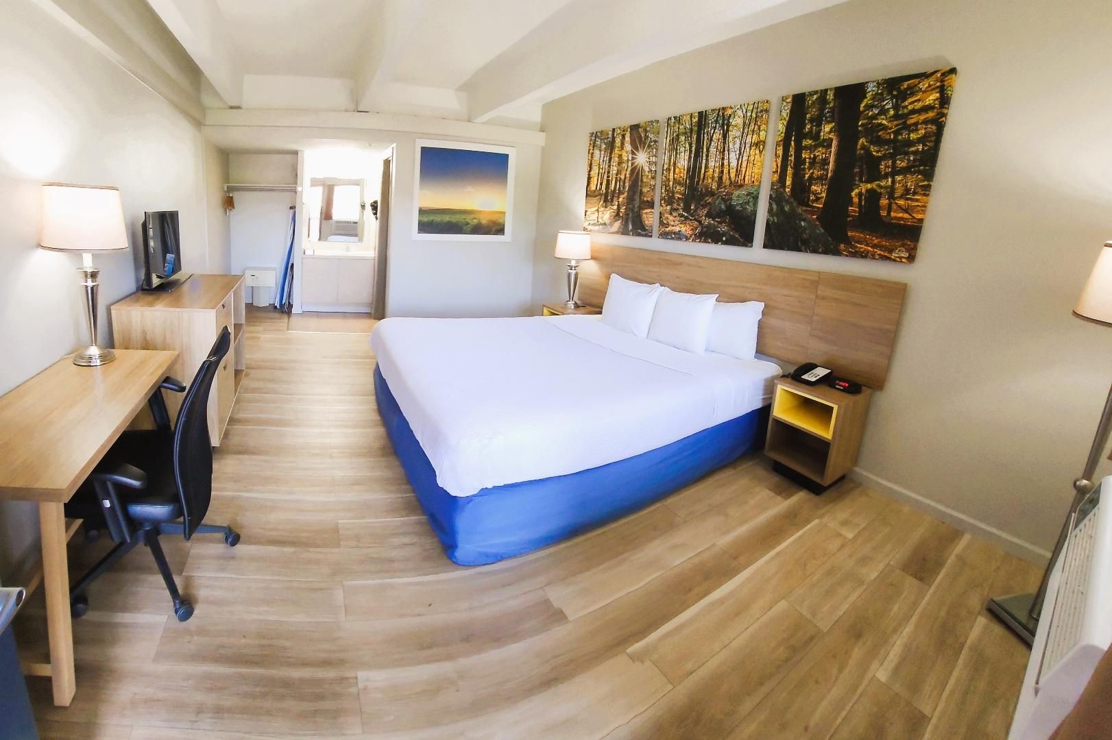 1 King Bed Non-Smoking