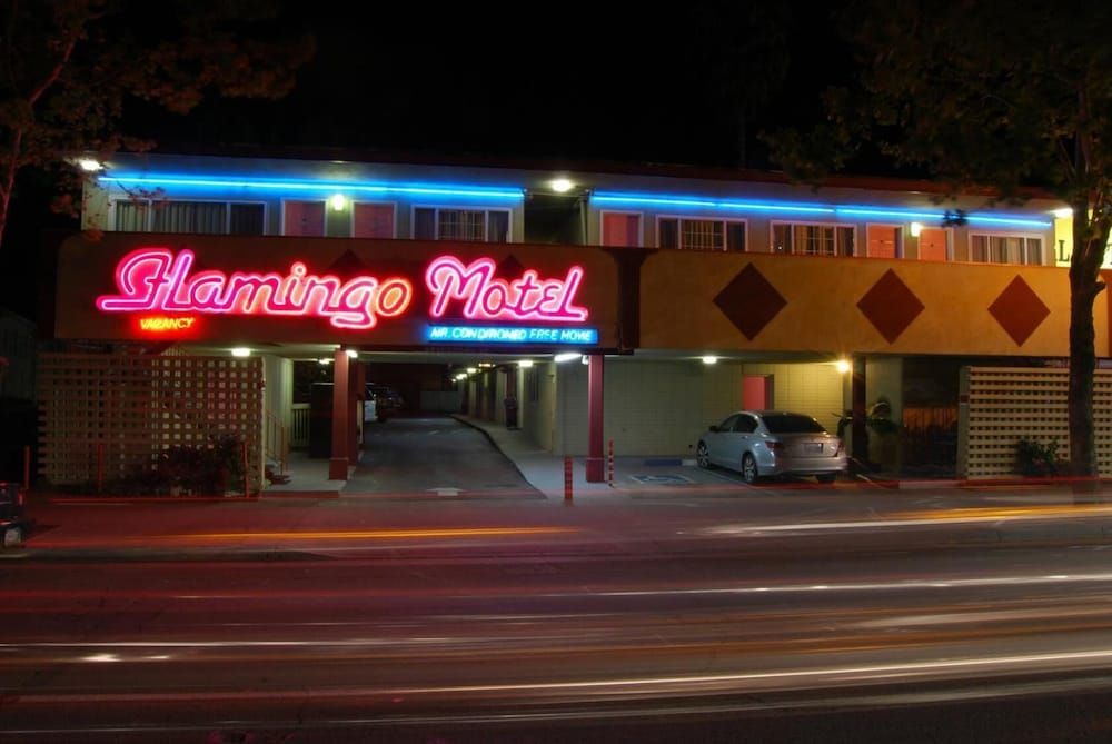 undefined The Flamingo Motel 5