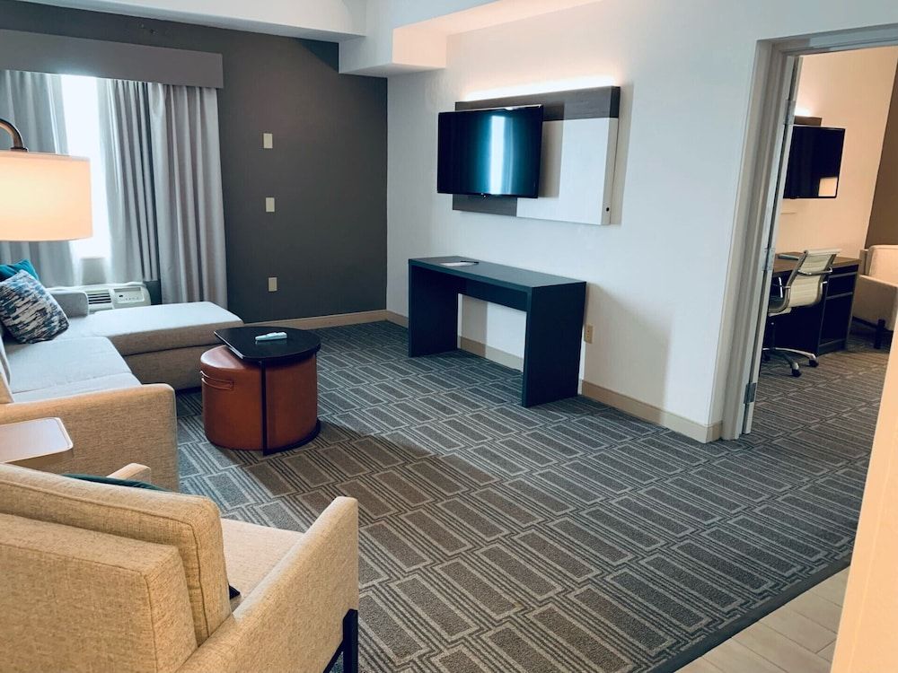 Suite, 1 King Bed with Sofa bed, Non Smoking (Efficiency)