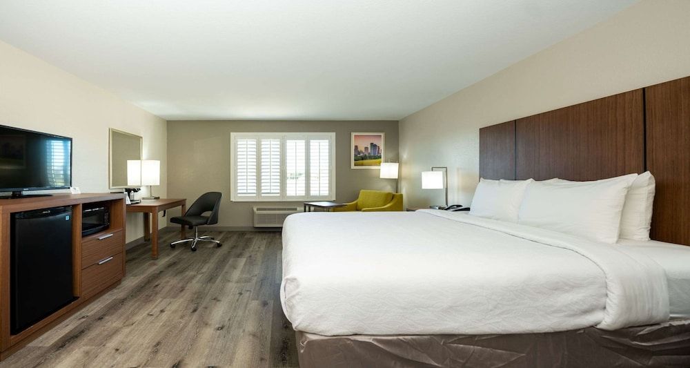Standard Room, 1 King Bed, Non Smoking, Refrigerator & Microwave