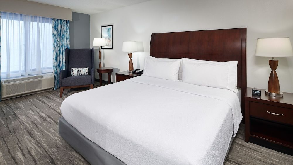Room, 1 King Bed