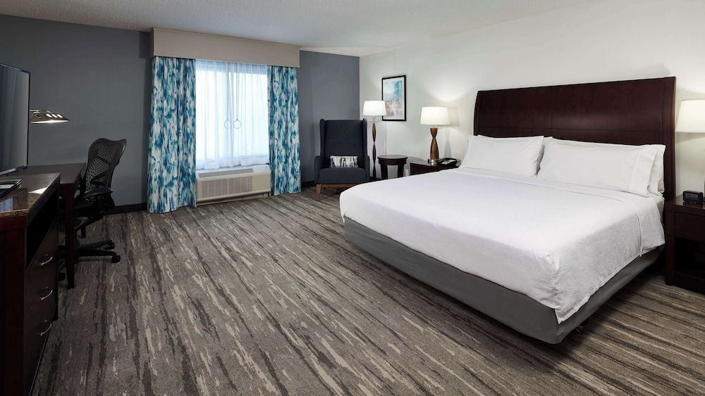 Room, 1 King Bed, Accessible, Bathtub
