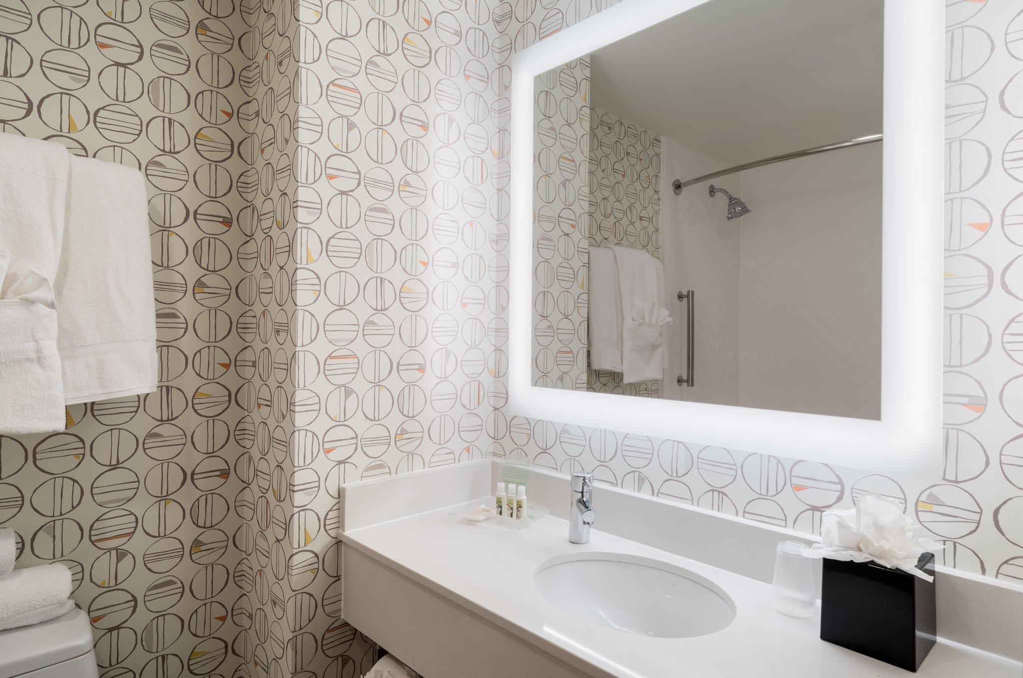 Holiday Inn New York City - Wall Street by IHG Standard Room 8