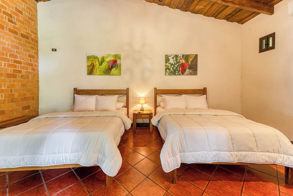 Superior Room, 2 Double Beds