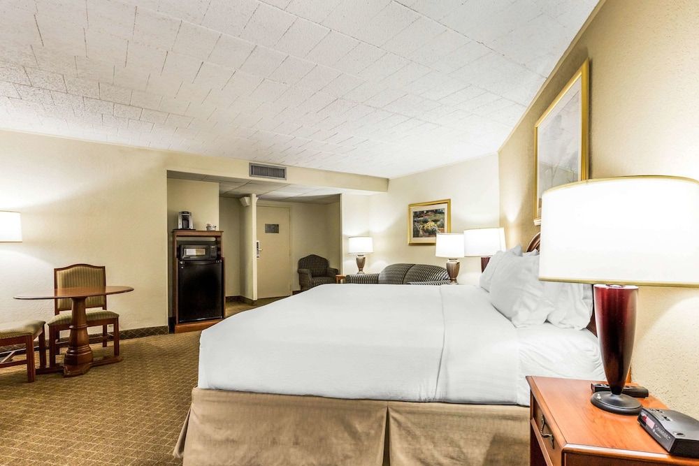 Suite, 1 King Bed with Sofa bed, Non Smoking (2 Person Sofa bed)