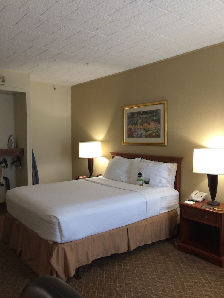 Suite, 1 King Bed with Sofa bed, Non Smoking (2 Person Sofa bed)