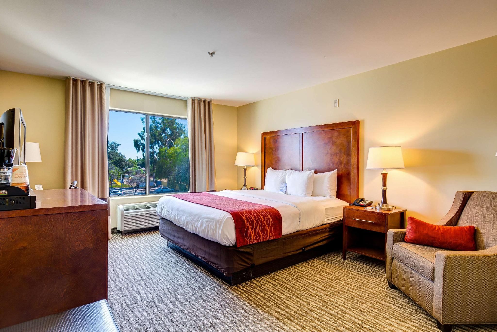 1 King Bed, Nonsmoking, Accessible