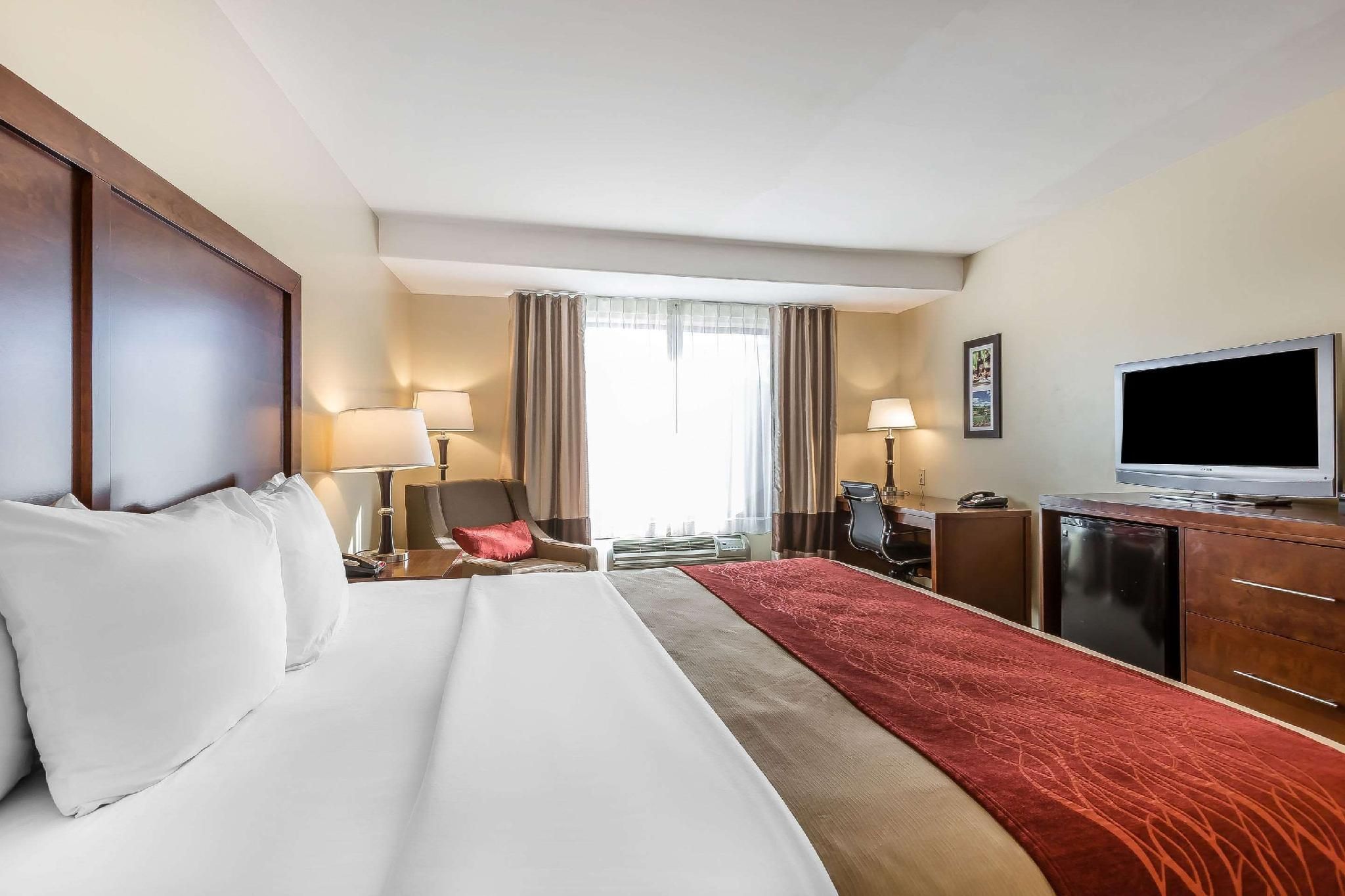 1 King Bed, Nonsmoking