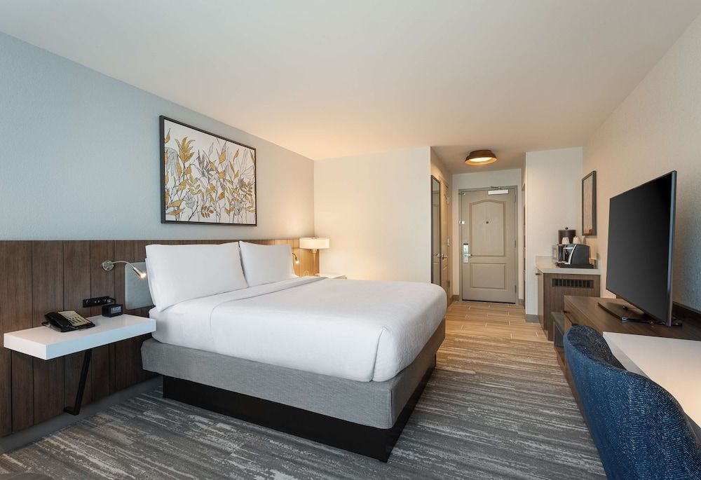 Room, 1 King Bed, Accessible