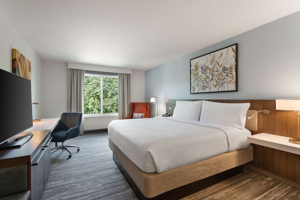 Room, 1 King Bed, Accessible