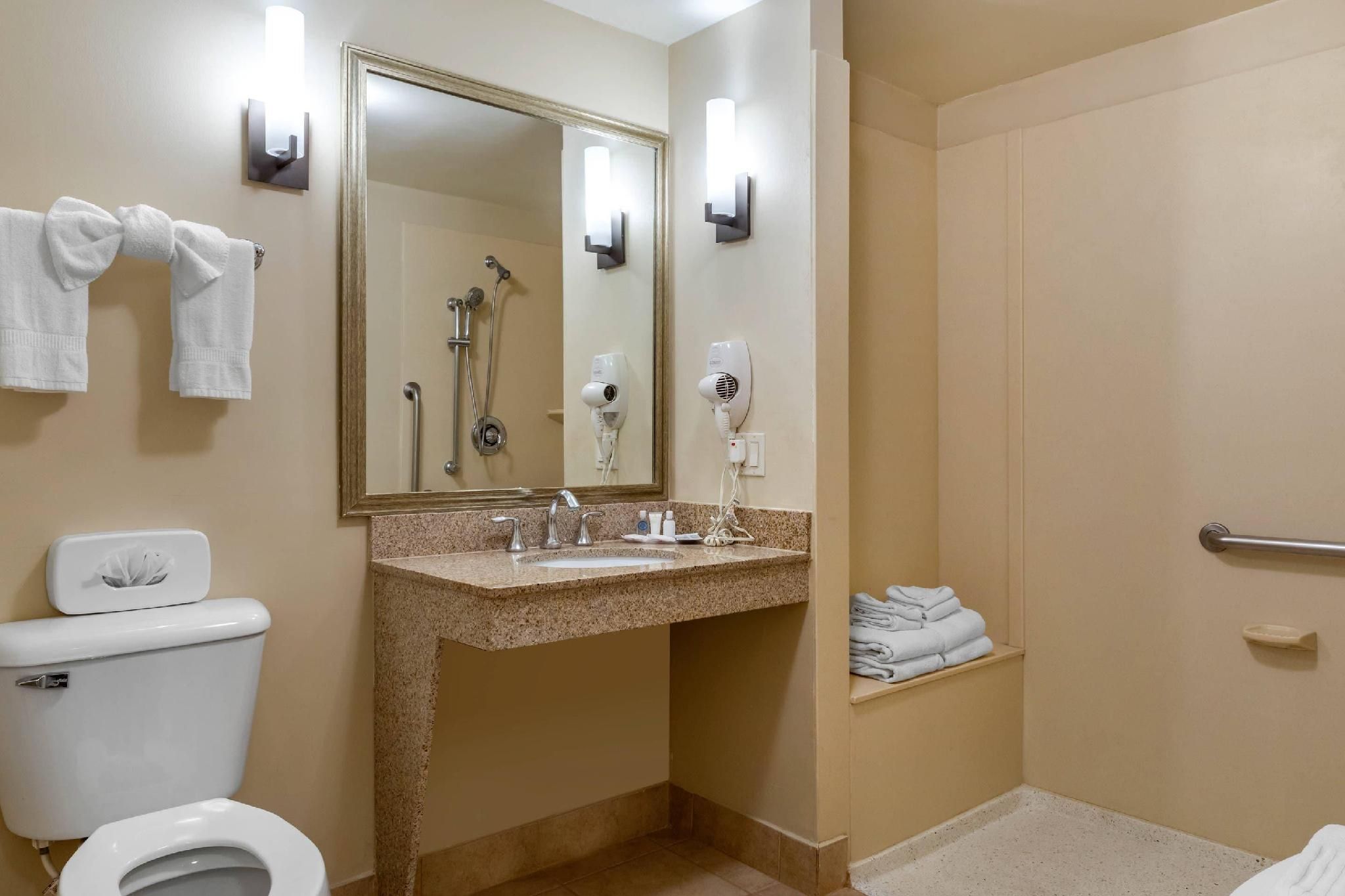 1 King Bed, Suite, Nonsmoking, Accessible