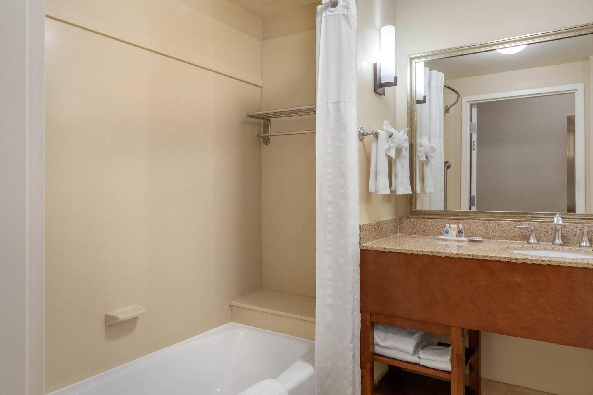 1 King Bed, Suite, Nonsmoking