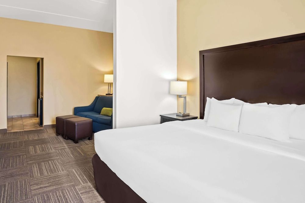 Suite, 1 King Bed with Sofa bed, Accessible, Non Smoking