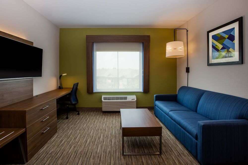 Suite, 1 King Bed with Sofa bed, Accessible (Accessible Tub)