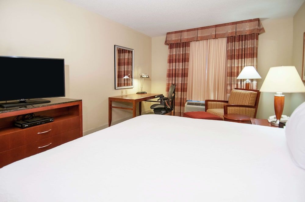 King Evolution room