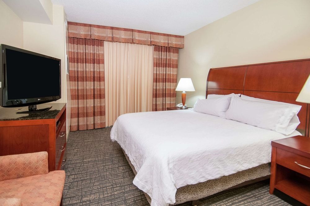 Mini suite, One King Bed